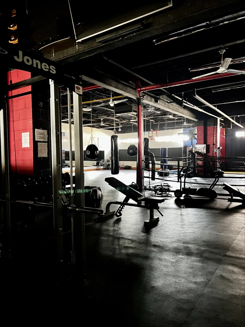 BOX-X Boxing and Fitness business photo