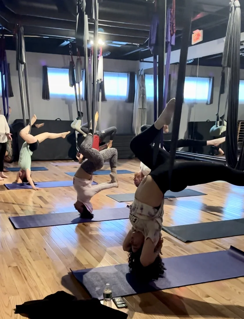 Empowered Aerial Fitness, business photo 3